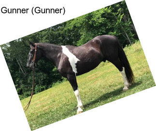 Gunner (Gunner)