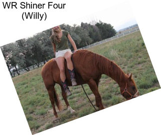 WR Shiner Four (Willy)