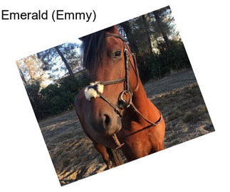 Emerald (Emmy)