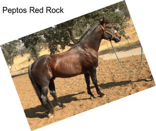 Peptos Red Rock