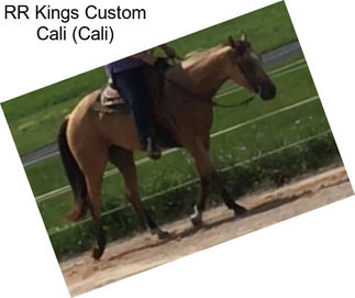 RR Kings Custom Cali (Cali)