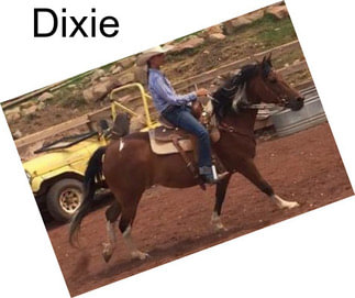 Dixie