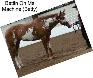 Bettin On Ms Machine (Betty)