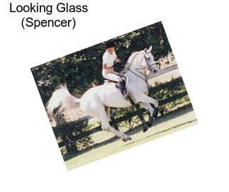 Looking Glass (Spencer)