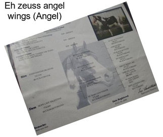Eh zeuss angel wings (Angel)