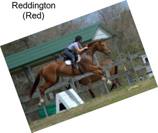 Reddington (Red)