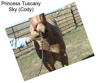 Princess Tuscany Sky (Cody)