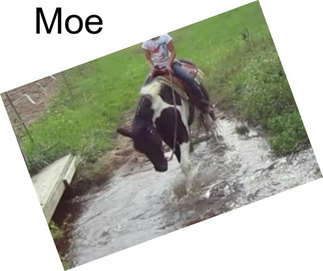 Moe