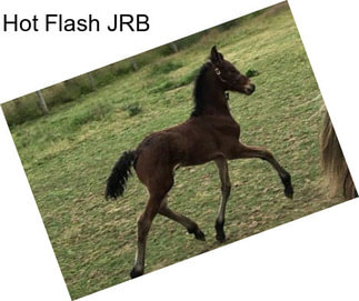 Hot Flash JRB