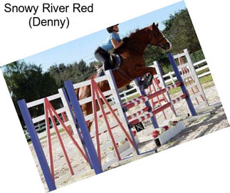 Snowy River Red (Denny)