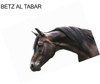 BETZ AL TABAR