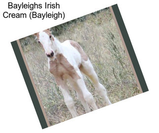 Bayleighs Irish Cream (Bayleigh)