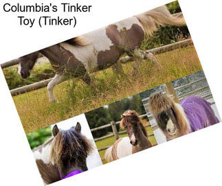 Columbia\'s Tinker Toy (Tinker)