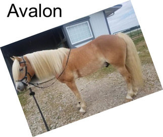 Avalon