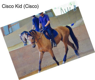 Cisco Kid (Cisco)