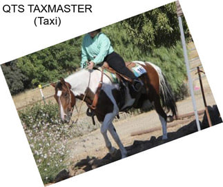 QTS TAXMASTER (Taxi)