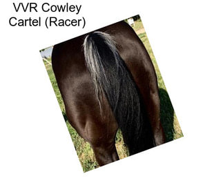 VVR Cowley Cartel (Racer)