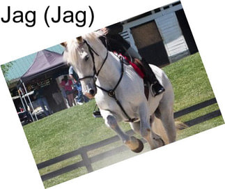 Jag (Jag)