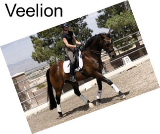 Veelion