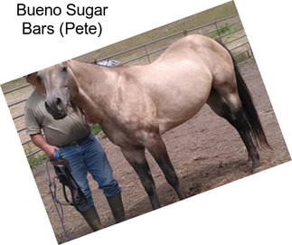 Bueno Sugar Bars (Pete)