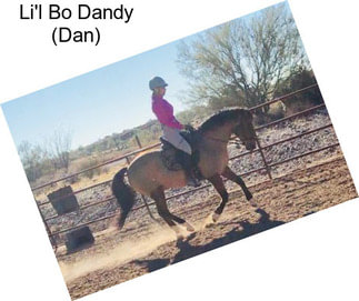 Li\'l Bo Dandy (Dan)