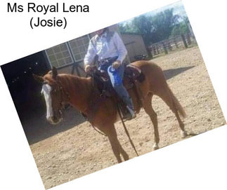 Ms Royal Lena (Josie)