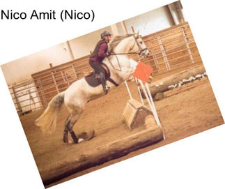 Nico Amit (Nico)