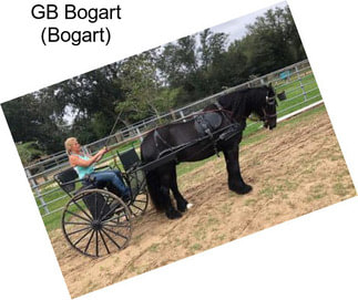 GB Bogart (Bogart)