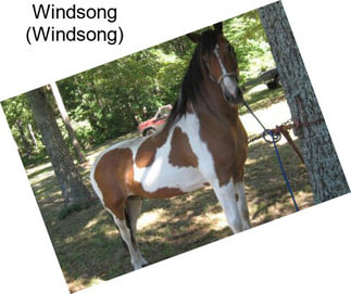 Windsong (Windsong)
