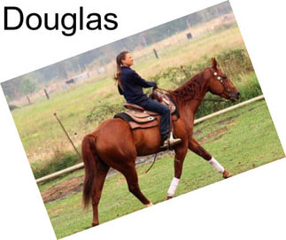 Douglas