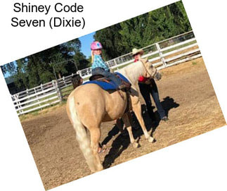 Shiney Code Seven (Dixie)