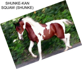 SHUNKE-KAN SQUAW (SHUNKE)