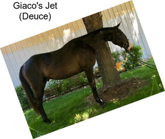 Giaco\'s Jet (Deuce)