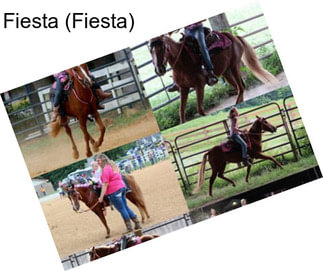 Fiesta (Fiesta)