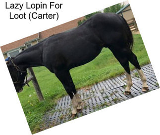 Lazy Lopin For Loot (Carter)