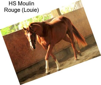 HS Moulin Rouge (Louie)