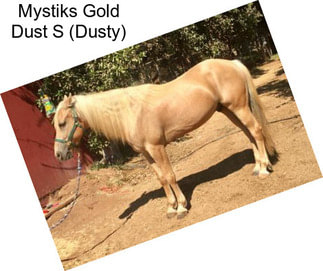 Mystiks Gold Dust S (Dusty)