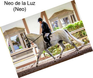 Neo de la Luz (Neo)