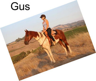 Gus