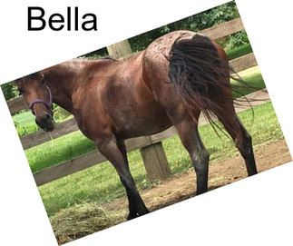 Bella