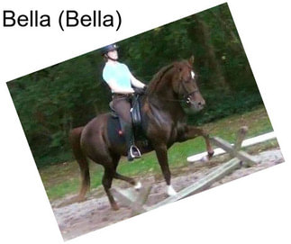 Bella (Bella)