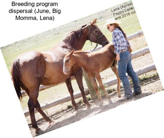 Breeding program dispersal (June, Big Momma, Lena)
