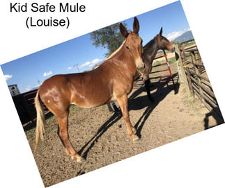 Kid Safe Mule (Louise)
