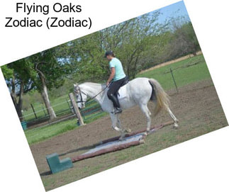 Flying Oaks Zodiac (Zodiac)
