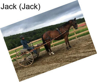 Jack (Jack)