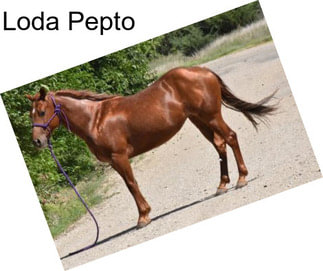 Loda Pepto