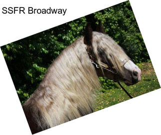 SSFR Broadway