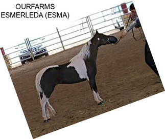 OURFARMS ESMERLEDA (ESMA)