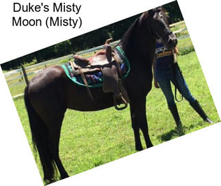 Duke\'s Misty Moon (Misty)