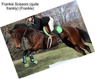 Frankie Scissors (quite frankly) (Frankie)